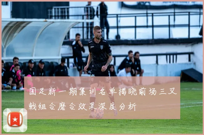 国足新一期集训名单揭晓前场三叉戟组合磨合效果深度分析