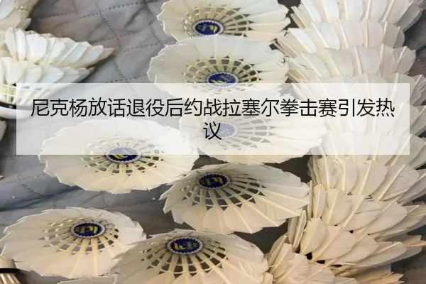 尼克杨放话退役后约战拉塞尔拳击赛引发热议
